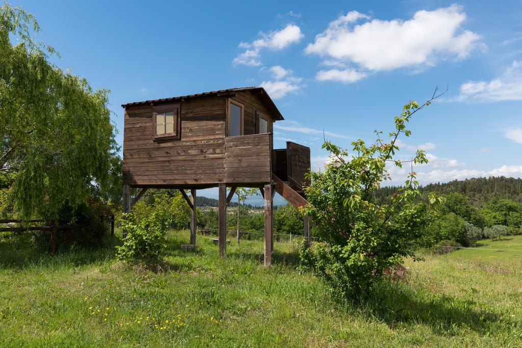 Azienda Agrituristica Bellavista Villa Montespertoli Exterior photo